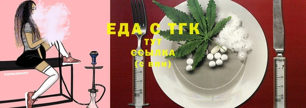 spice Дмитриев