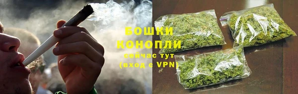 spice Дмитриев