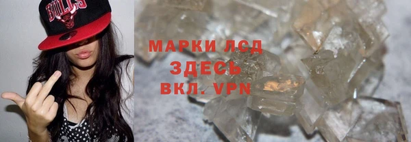spice Дмитриев