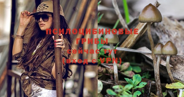 spice Дмитриев