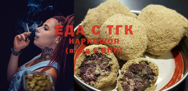 spice Дмитриев
