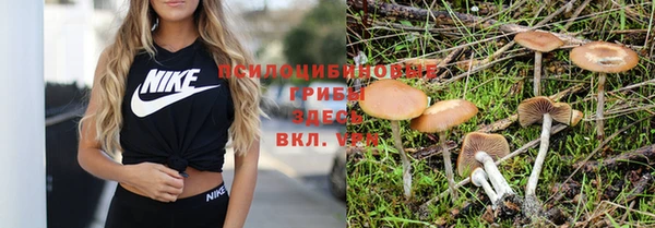 spice Дмитриев