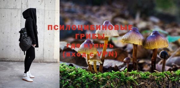 spice Дмитриев