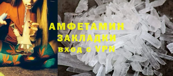 spice Дмитриев