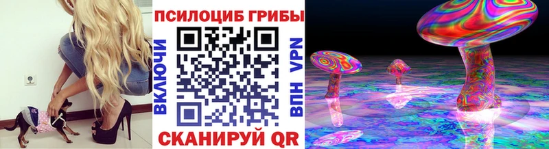 купить наркоту  Каневская  kraken зеркало  Псилоцибиновые грибы прущие грибы 